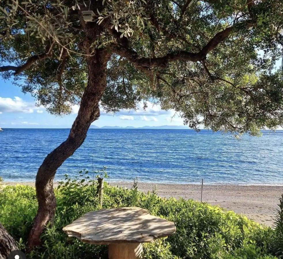 Dadya Villa 1 - Villa With Private Pool - 750M Distance To The Beach Datça Eksteriør bilde